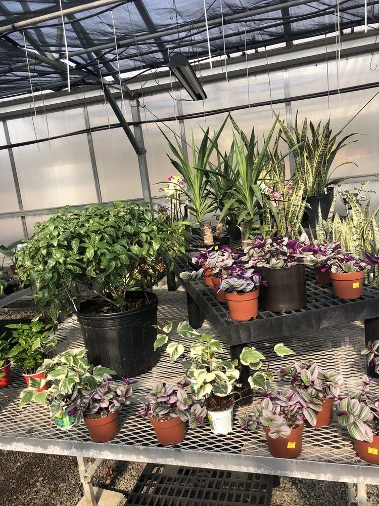 Custom landscape installation in Ballston Spa, NY - Brookside Farms Nursery