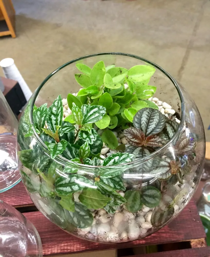 Trusted yard maintenance in Ballston Spa, NY - Brookside Farms Nursery