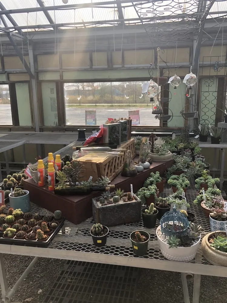 Expert yard cleanup service in Ballston Spa, NY by Brookside Farms Nursery