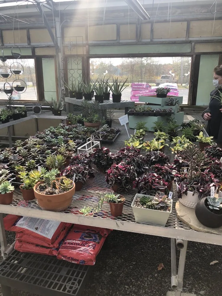 Expert landscaping services experts serving Ballston Spa, NY - Brookside Farms Nursery