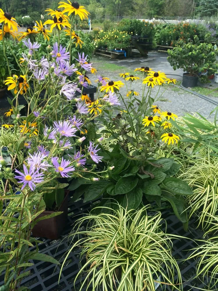 Top-rated landscaping services in Ballston Spa, NY by Brookside Farms Nursery