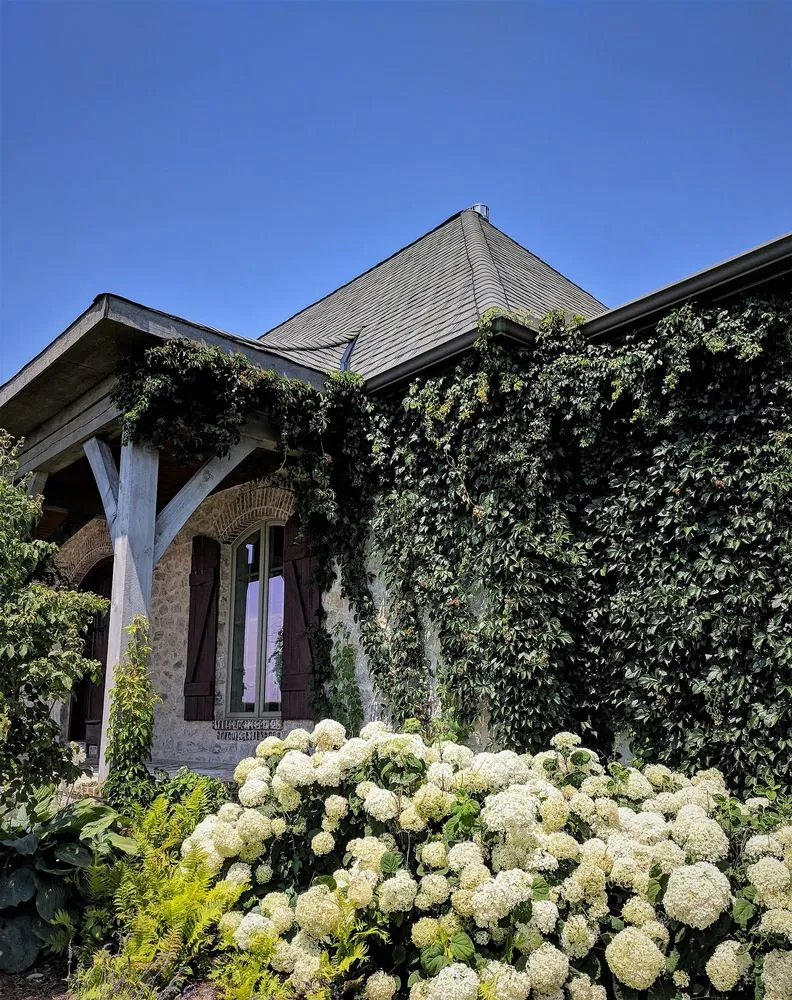 Reliable lawn care service for year-round maintenance across Eureka, IL - Brookside Landscapes