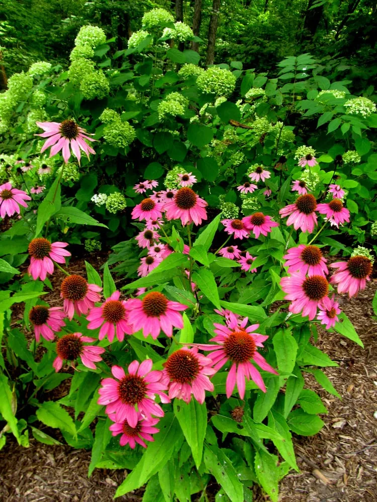 Affordable landscape installation in Eureka, IL - Brookside Landscapes