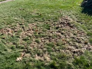 Affordable yard cleanup service experts serving Medina, OH - Brookside Lawn Service