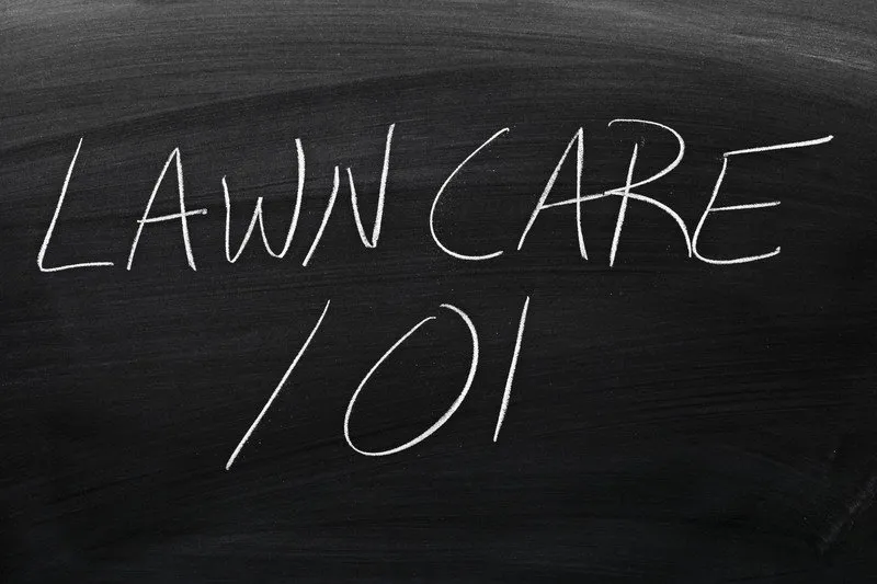 Reliable landscaping services for year-round maintenance in Medina, OH by Brookside Lawn Service