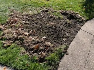 Local landscape design near you in Medina, OH by Brookside Lawn Service