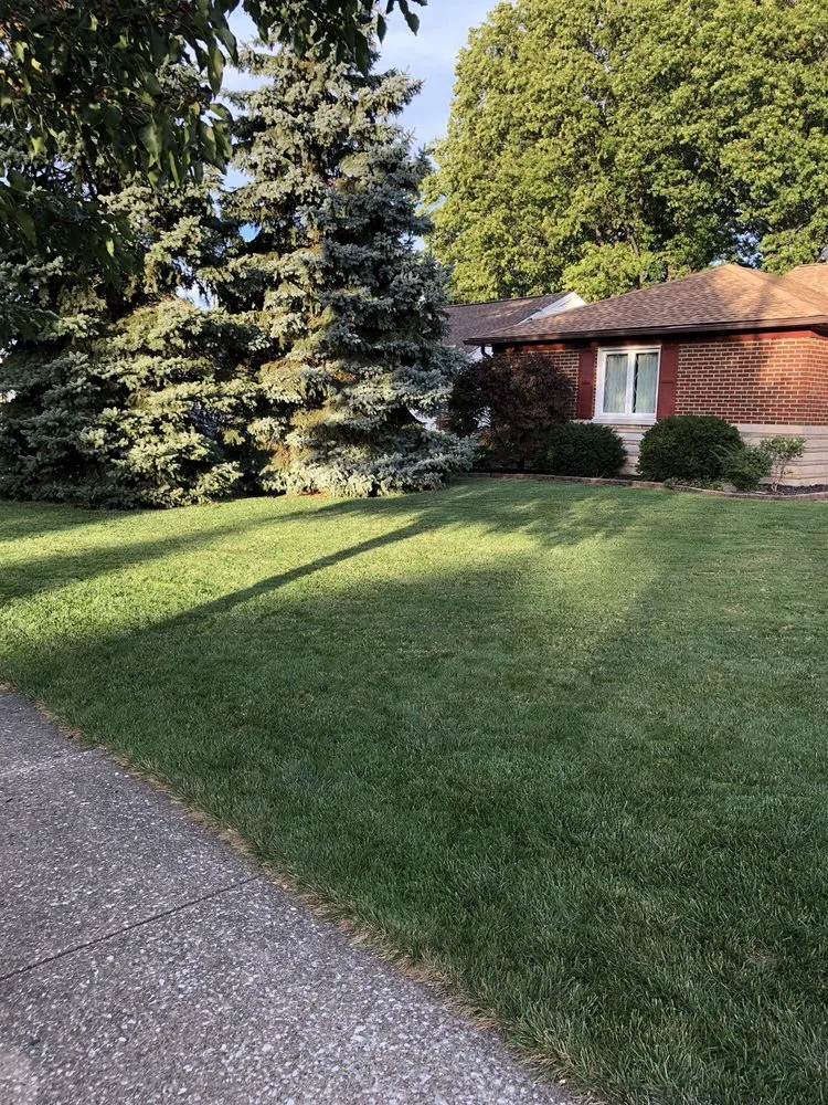Local lawn care service near you in Medina, OH by Brookside Lawn Service