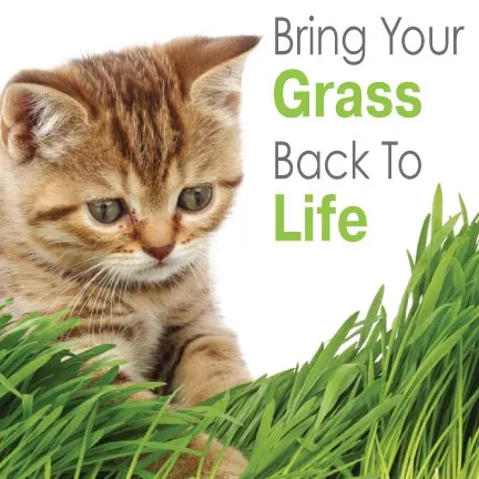 Expert garden landscaping in Medina, OH by Brookside Lawn Service