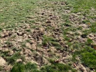 Expert outdoor landscaping for homes in Medina, OH by Brookside Lawn Service