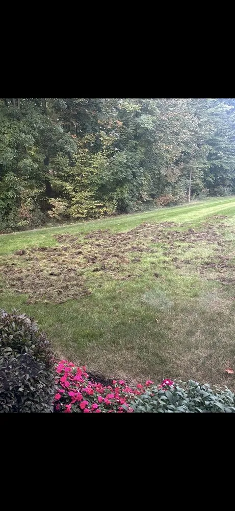 Custom yard maintenance in Medina, OH - Brookside Lawn Service