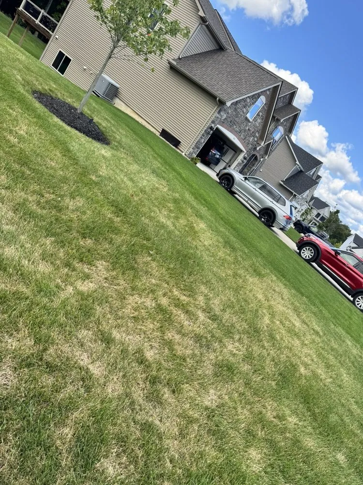 Top-rated yard cleanup service experts serving Medina, OH - Brookside Lawn Service