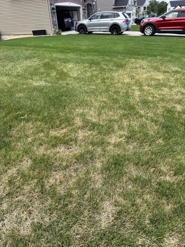 Custom landscaping services in Medina, OH by Brookside Lawn Service