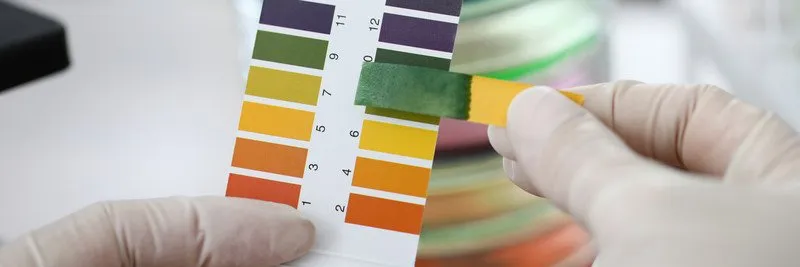 Custom lawn care service near you in Medina, OH by Brookside Lawn Service