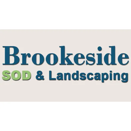 Top-rated yard cleanup service near you in Lithia, FL by Brookside Sod & Landscape