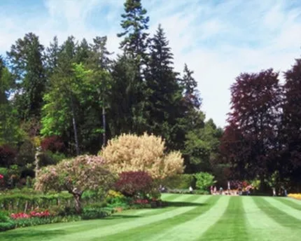 Expert landscape design in Lithia, FL by Brookside Sod & Landscape