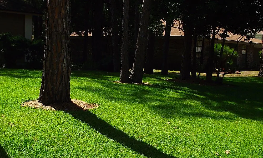 Trusted residential landscaping in Lithia, FL by Brookside Sod & Landscape