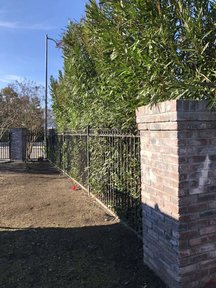 Professional landscape installation in Stockton, CA - Brookstone