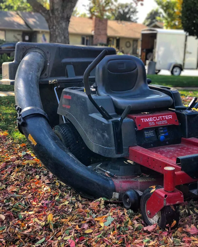 Local yard cleanup service near you in Stockton, CA by Brookstone