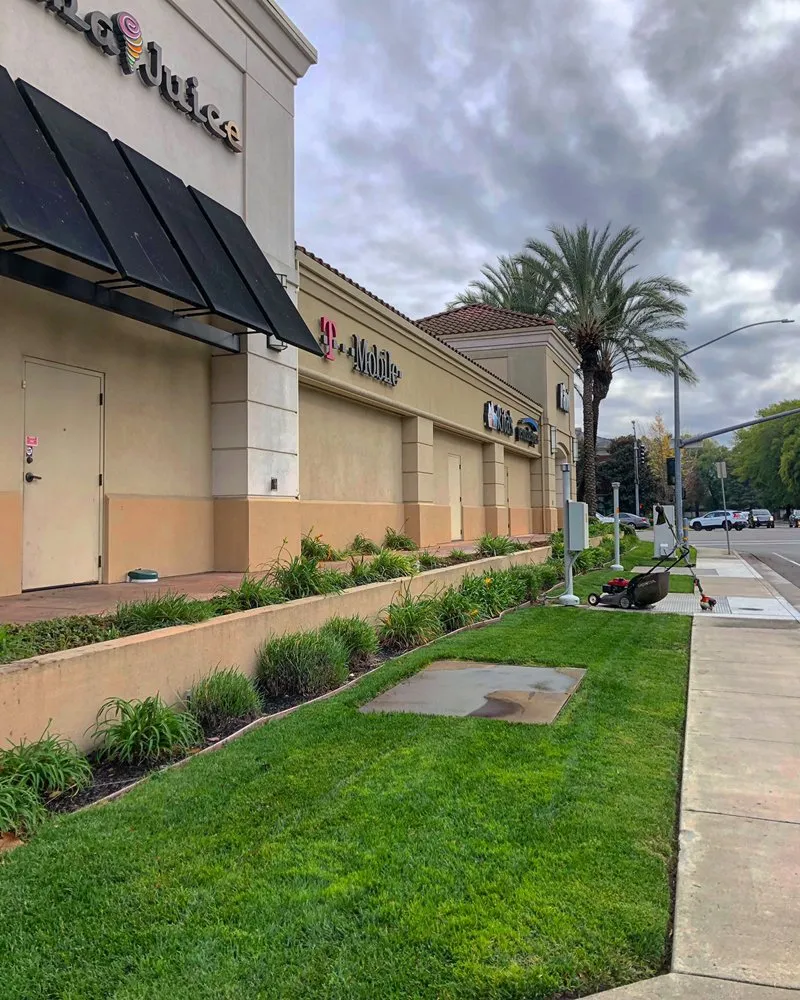 Expert landscape installation experts serving Stockton, CA - Brookstone