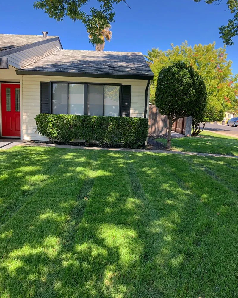 Local landscape installation for homes across Stockton, CA - Brookstone