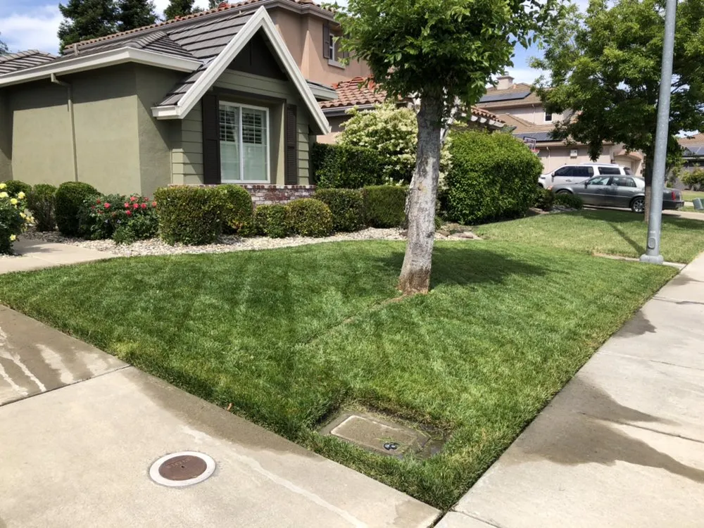 Reliable residential landscaping in Stockton, CA by Brookstone