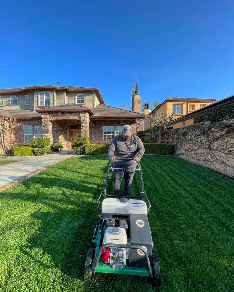 Affordable residential landscaping experts serving Stockton, CA - Brookstone