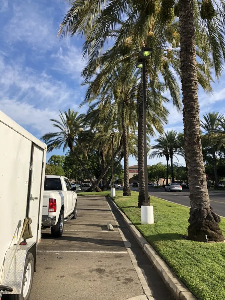 Affordable lawn care service in Stockton, CA - Brookstone