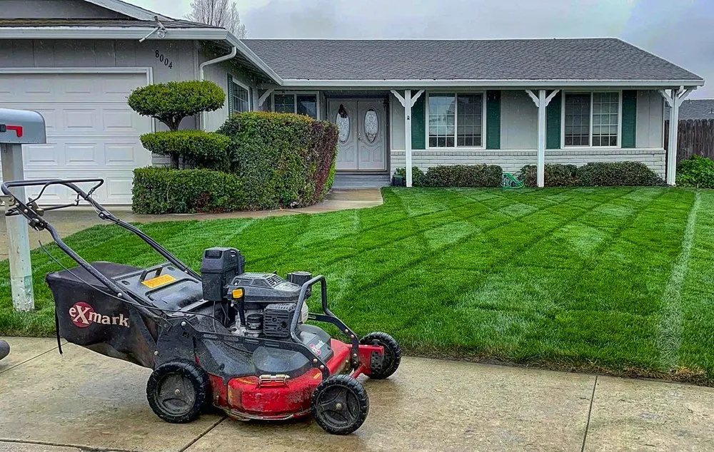 Trusted yard cleanup service with custom design in Stockton, CA by Brookstone