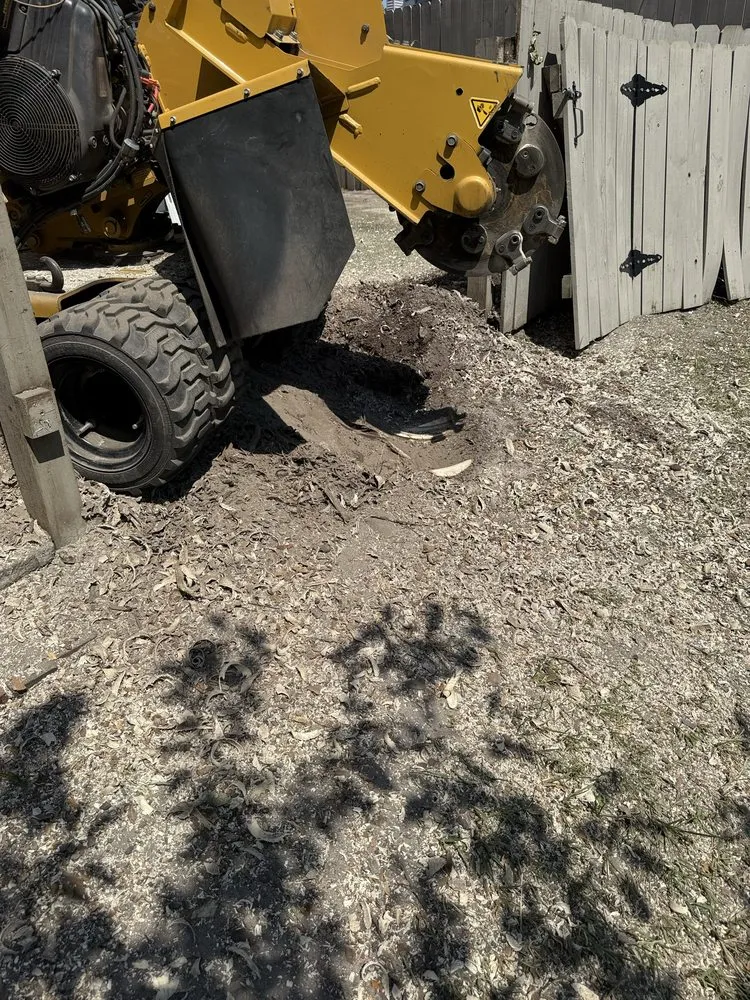 Custom landscape installation with custom design across Virginia Beach, VA - Brootforce Stump