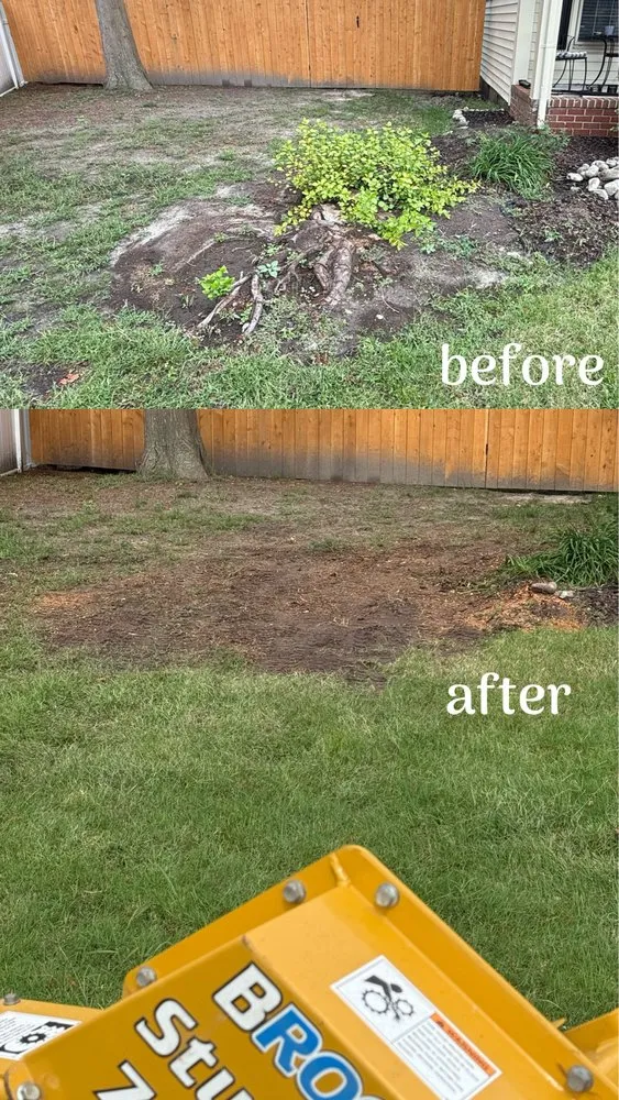 Top-rated landscape design for homes across Virginia Beach, VA - Brootforce Stump