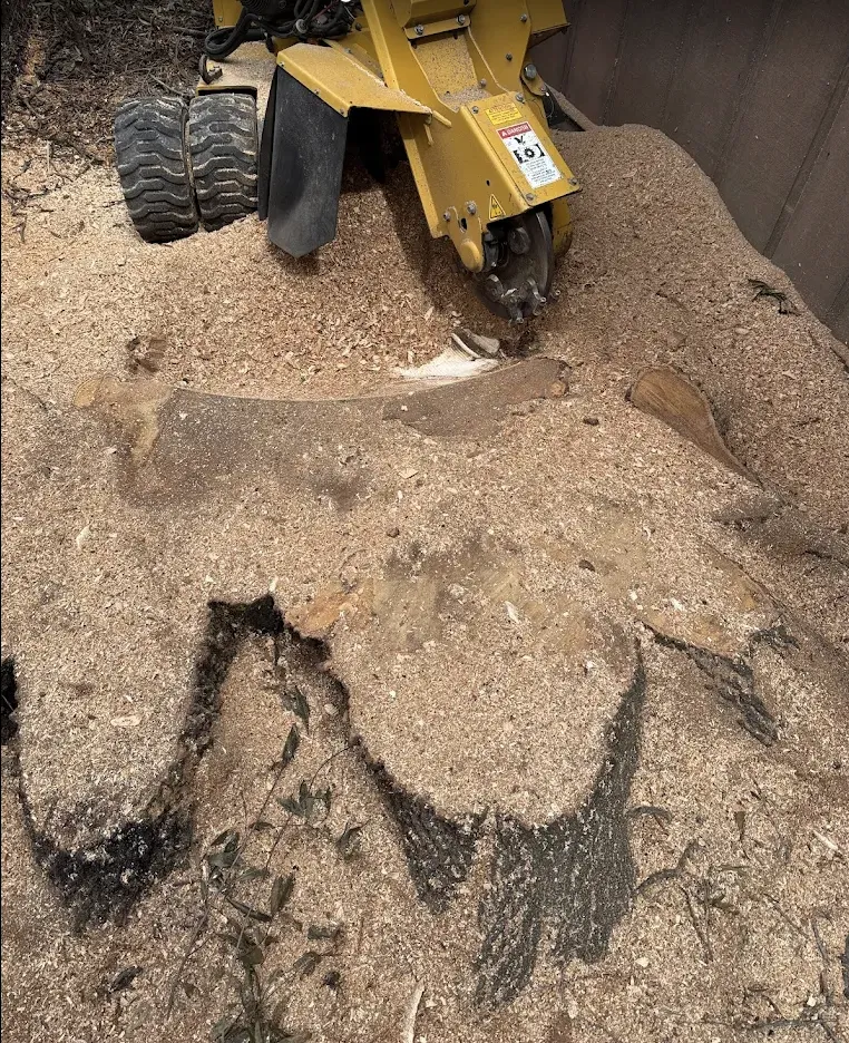 Reliable lawn mowing service for residential properties across Virginia Beach, VA - Brootforce Stump