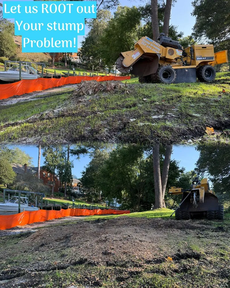 Top-rated outdoor landscaping for homes in Virginia Beach, VA by Brootforce Stump