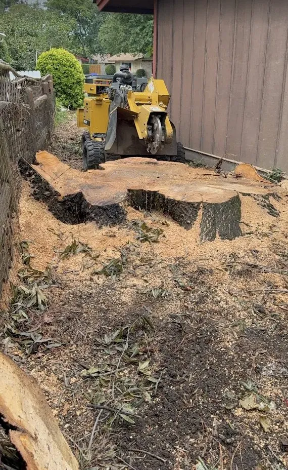 Expert landscaping services experts serving Virginia Beach, VA - Brootforce Stump