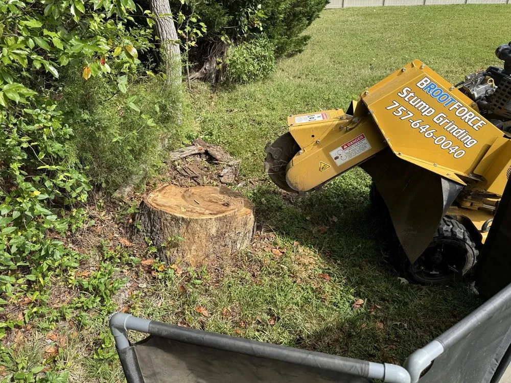 Expert lawn care service experts serving Virginia Beach, VA - Brootforce Stump