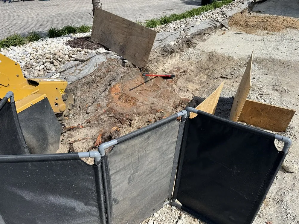 Local residential landscaping for beautiful yards across Virginia Beach, VA - Brootforce Stump