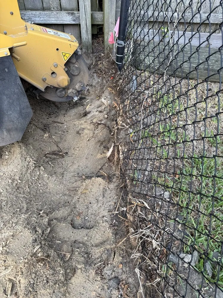 Custom lawn care service with custom design in Virginia Beach, VA by Brootforce Stump