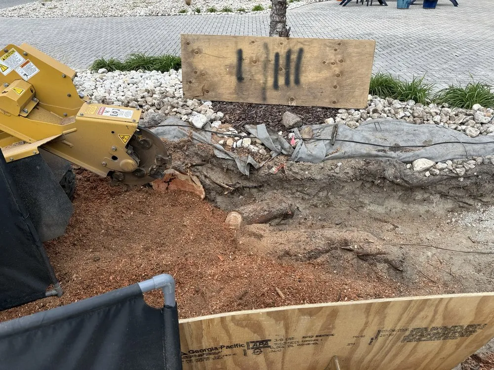 Local garden landscaping near you in Virginia Beach, VA by Brootforce Stump