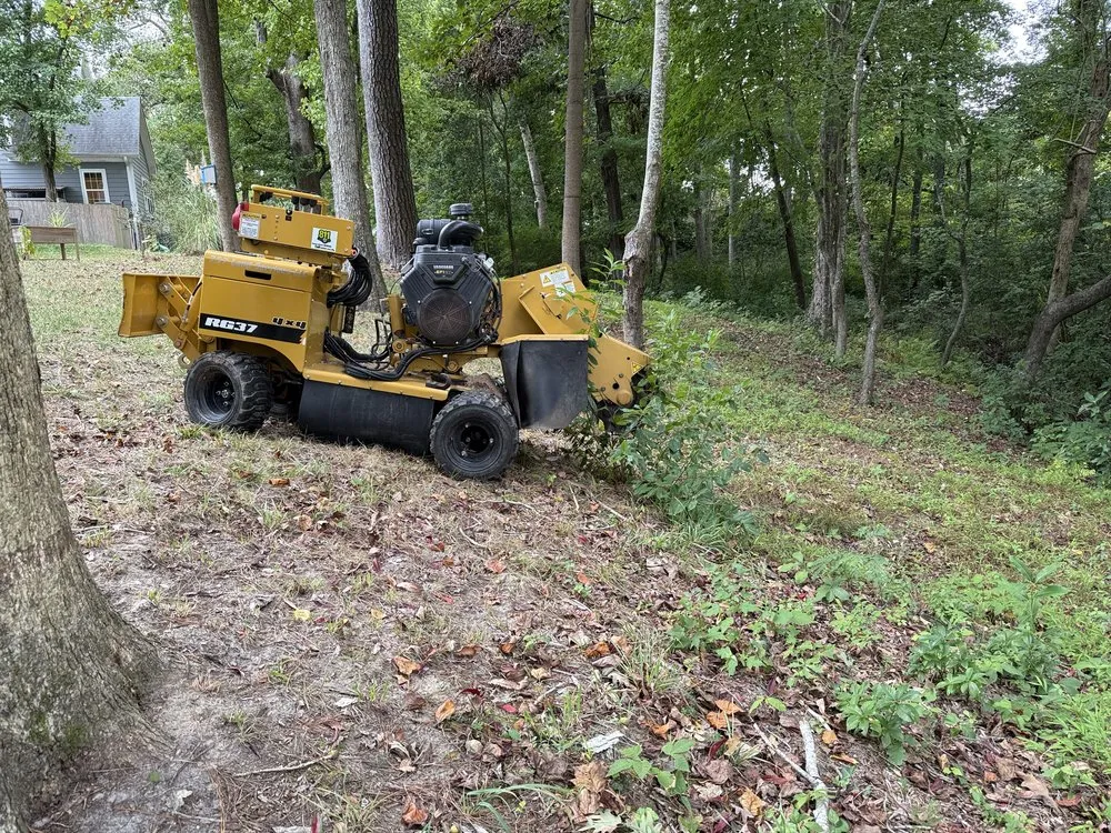 Custom lawn care service in Virginia Beach, VA by Brootforce Stump