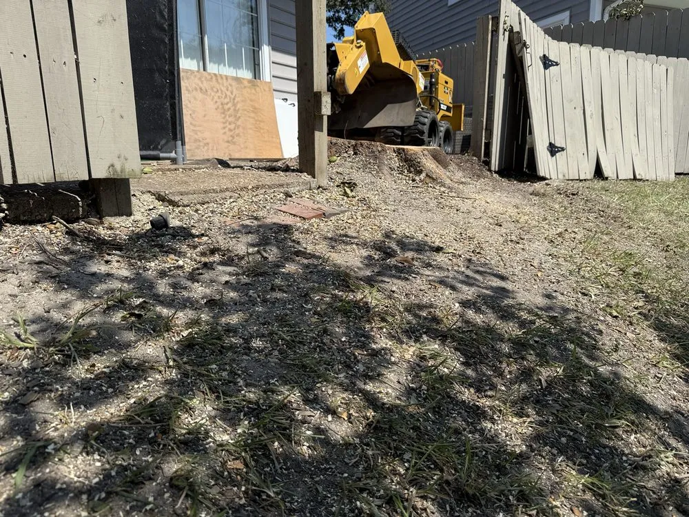 Reliable residential landscaping experts serving Virginia Beach, VA - Brootforce Stump