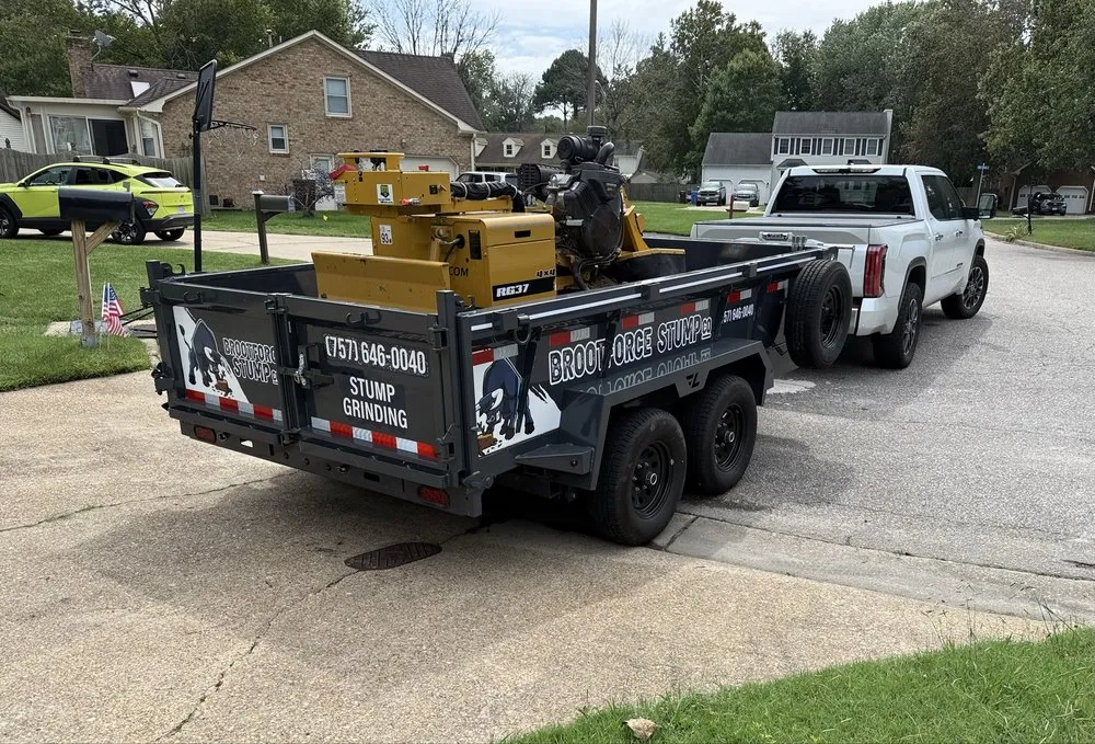 Professional yard cleanup service in Virginia Beach, VA by Brootforce Stump