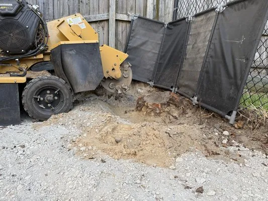 Brootforce Stump Logo