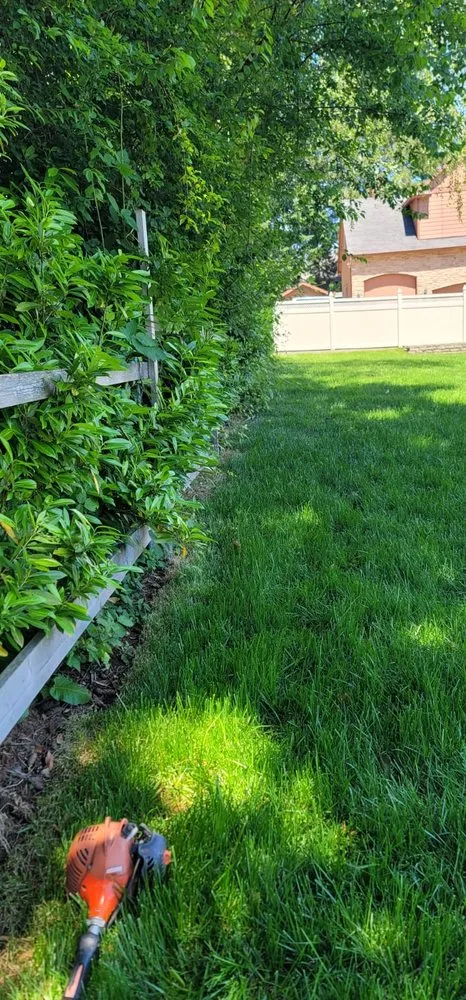 Top-rated residential landscaping for homes in Woodburn, OR by Bros Bautista Landscape