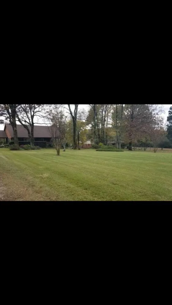 Local lawn care service experts serving San Antonio, TX - Bros Brothers