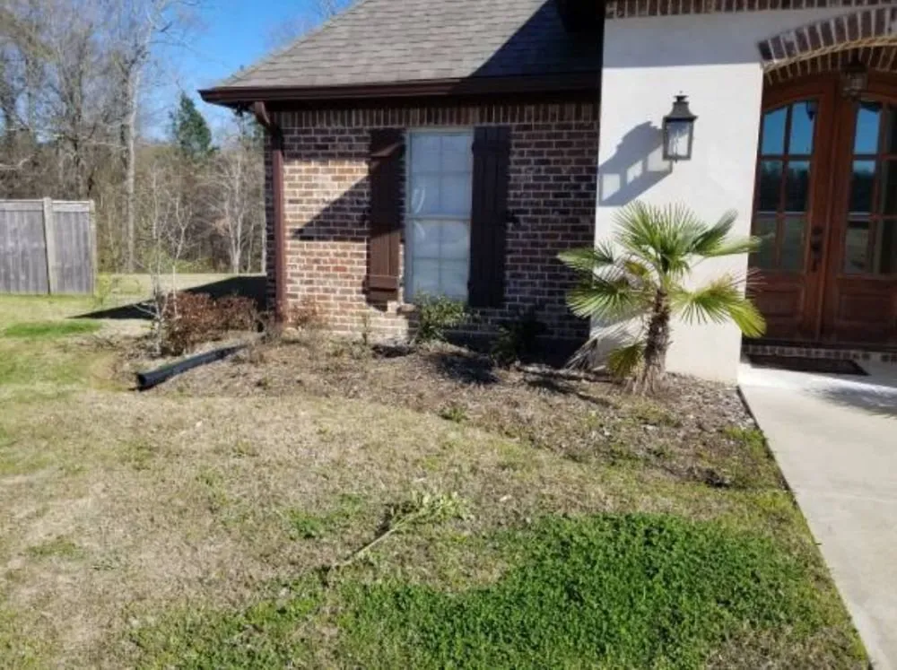 Professional landscaping services experts serving San Antonio, TX - Bros Brothers