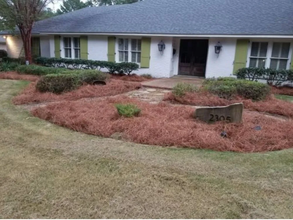 Expert lawn mowing service in San Antonio, TX - Bros Brothers