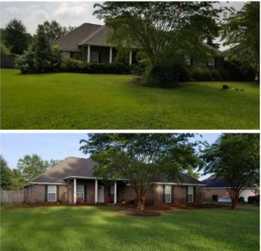 Affordable lawn mowing service near you in San Antonio, TX by Bros Brothers