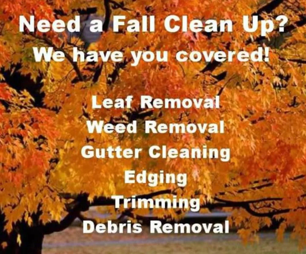 Custom yard maintenance for beautiful yards across San Antonio, TX - Bros Brothers