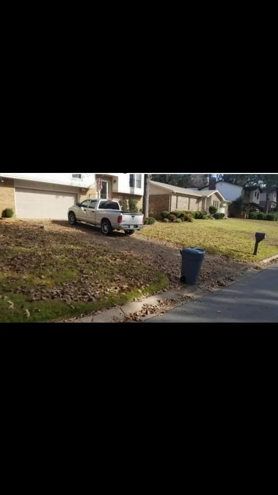 Top-rated yard cleanup service experts serving San Antonio, TX - Bros Brothers