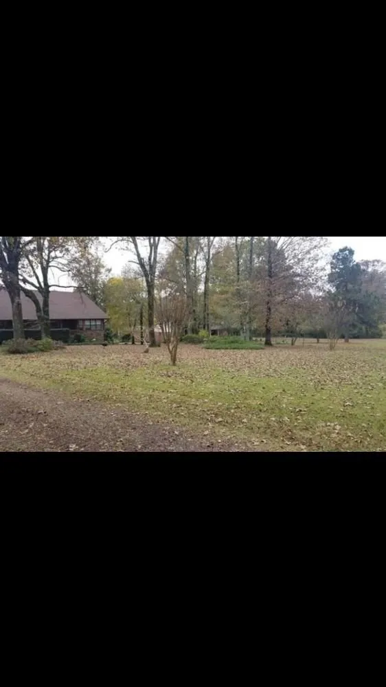 Custom garden landscaping experts serving San Antonio, TX - Bros Brothers