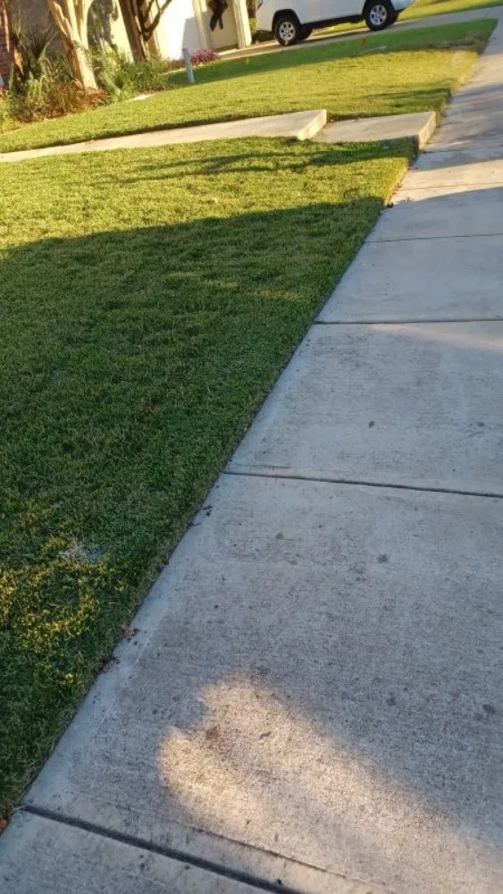 Custom landscaping services in San Antonio, TX by Bros Brothers Unlimited Services